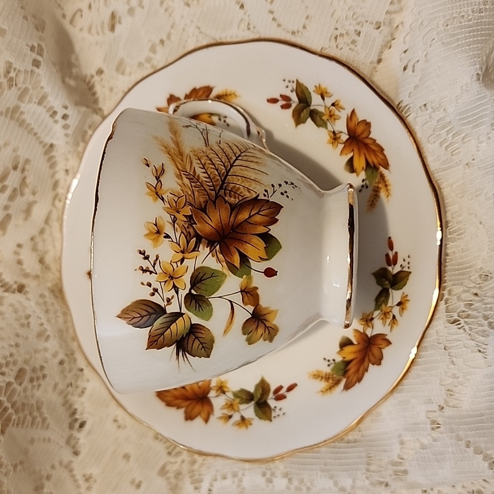 Royal Vale Bone China, Autumn Leaf Pattern, Tea Cup & Saucer, Very Nice